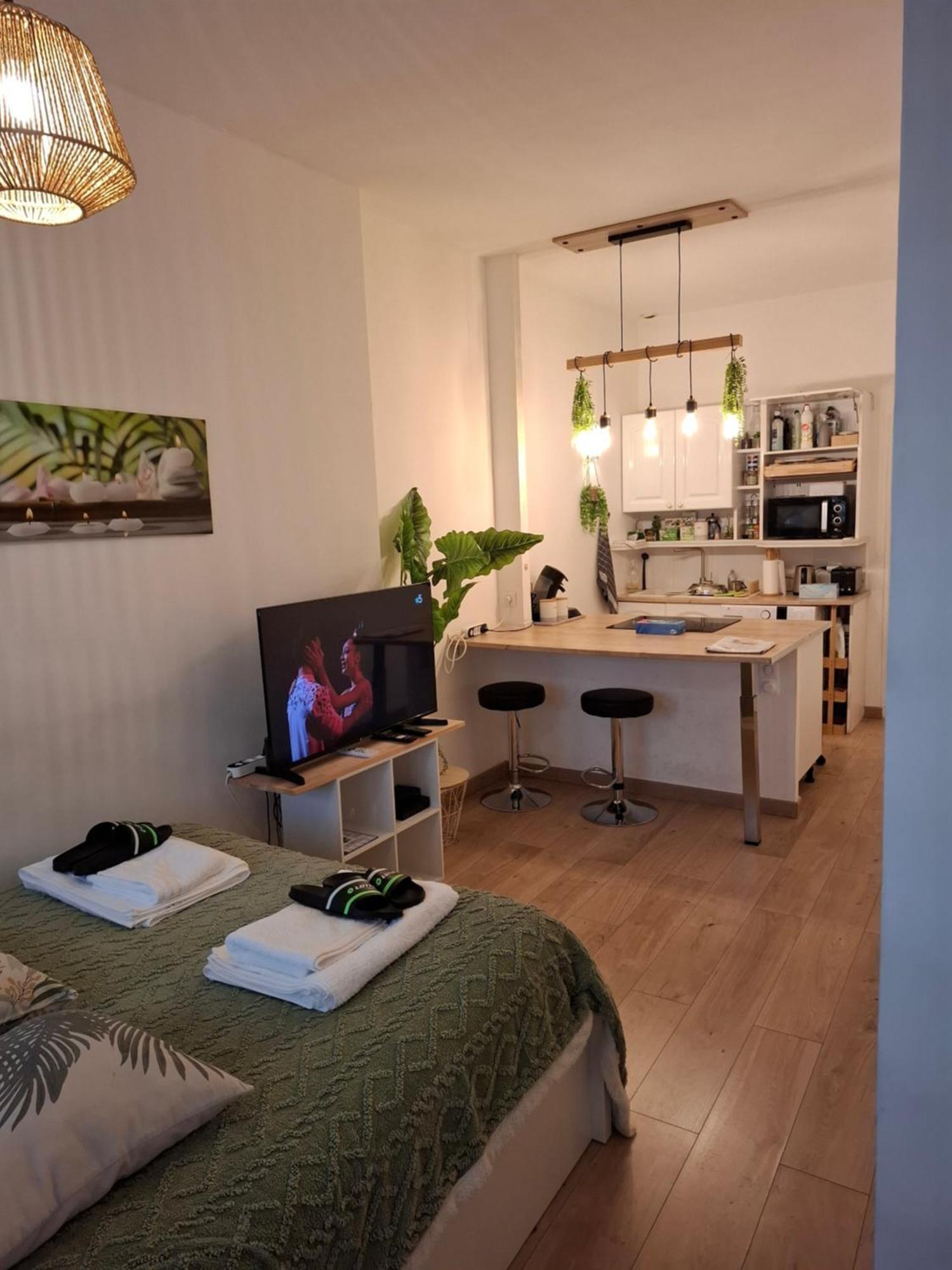 Studio La Casa De Planel Gare Saint Roch Montpellier Eksteriør billede